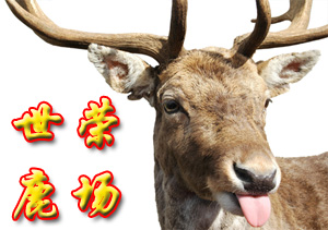世荣鹿场的图标