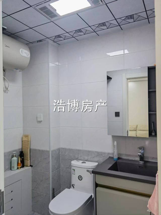 林苑之星