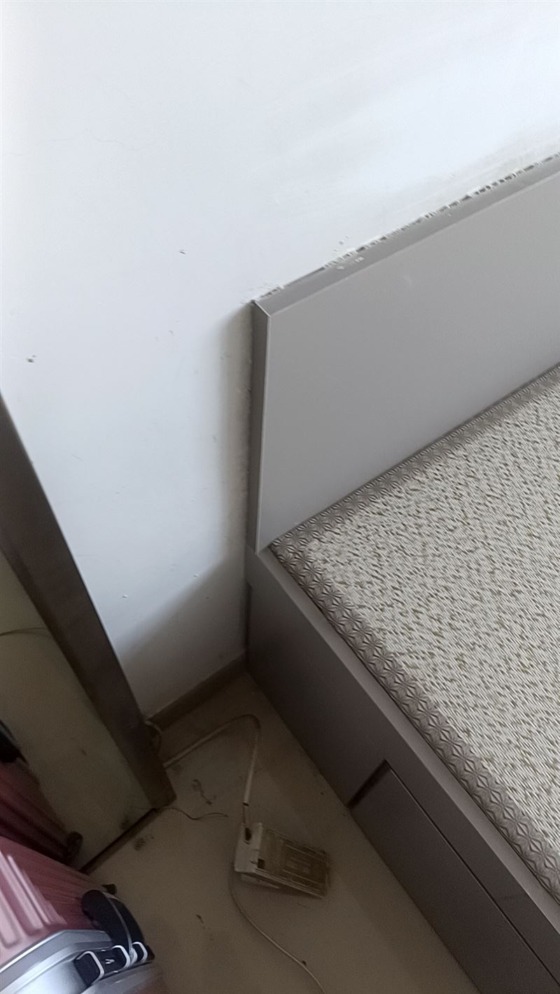 专业家装木工