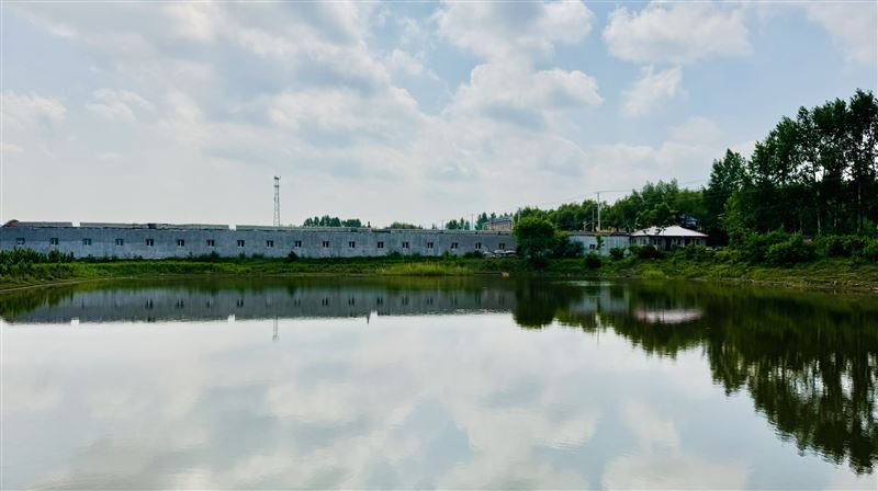 榛子园鱼池出售转让