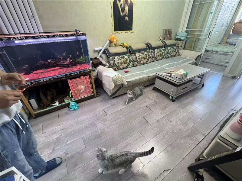 出售新东方 4楼 