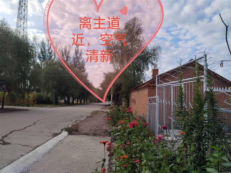 低价卖平房