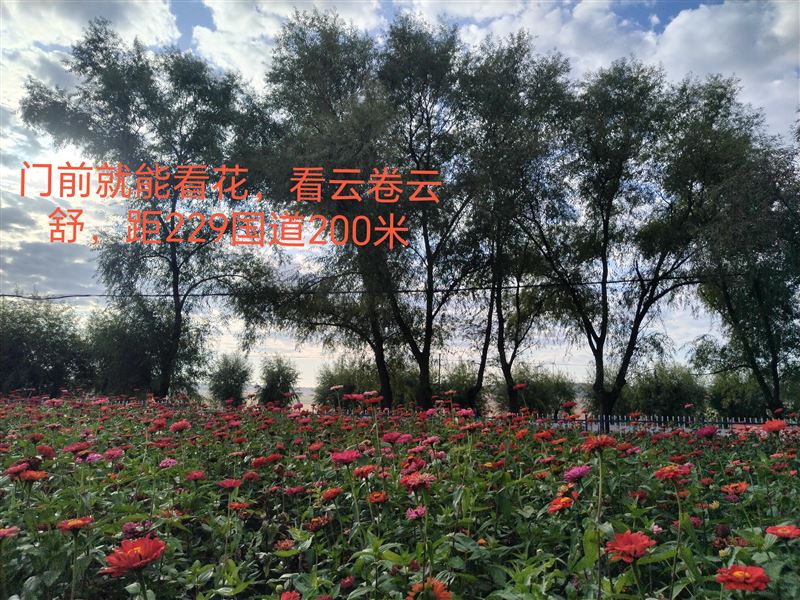 低价卖平房