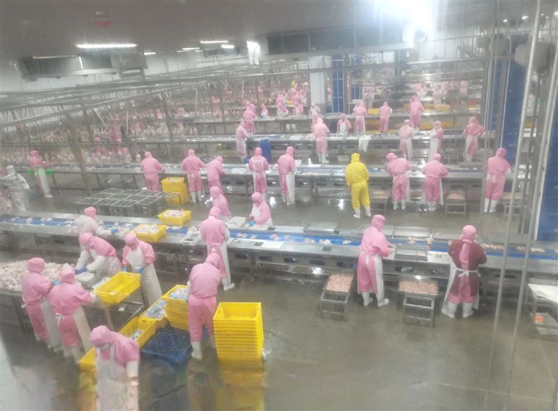 瑞东食品厂招工