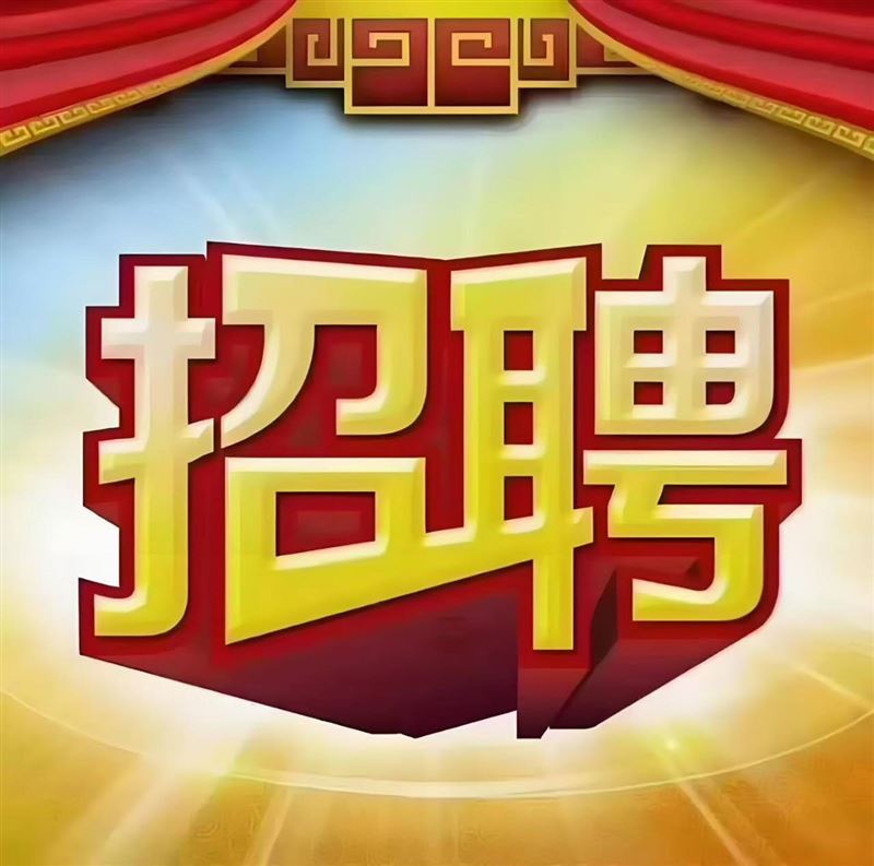 LSXY录上女装