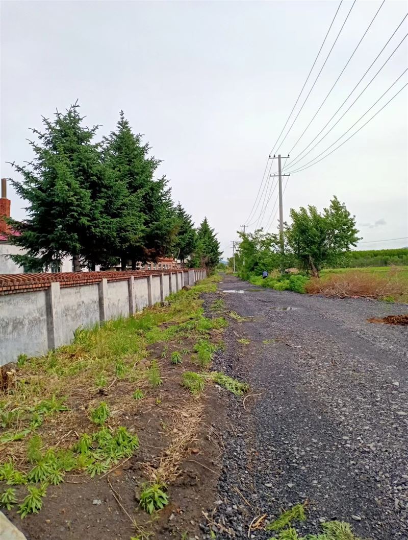 七台河种猪场出租出售