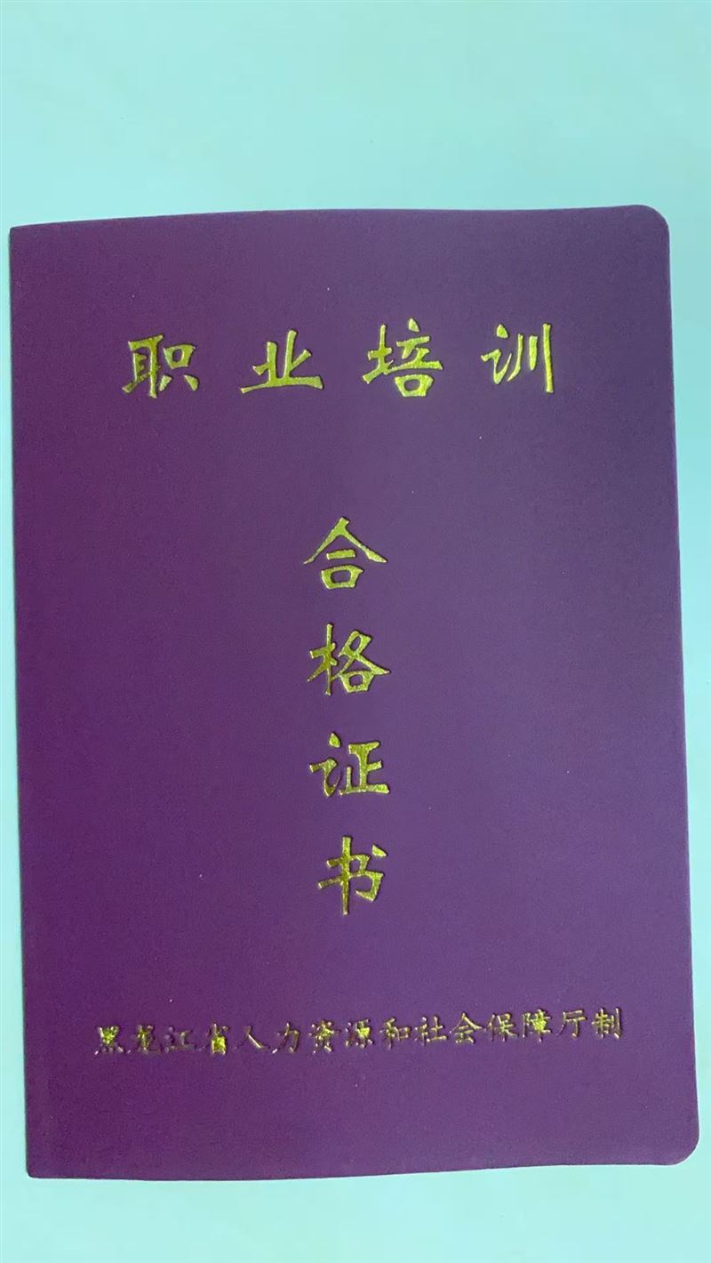 免费学习各种技能有补