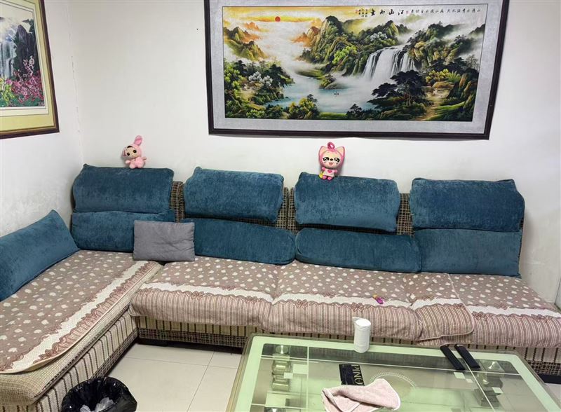 林苑之星42号楼三单元501