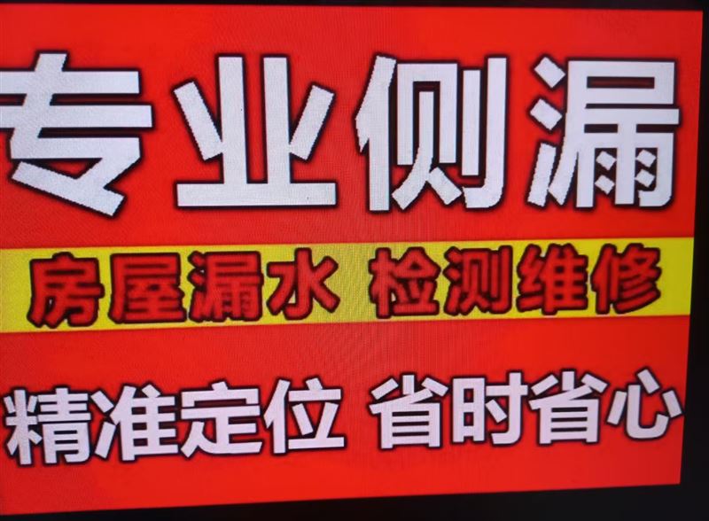 水暖工，测漏水，电工，瓦工做防水，砸墙透下水，刮大白木工，钻眼。