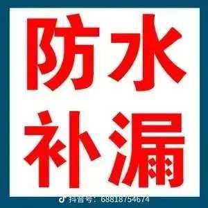 水暖工，测漏水，电工，瓦工做防水，砸墙透下水，刮大白木工，钻眼。