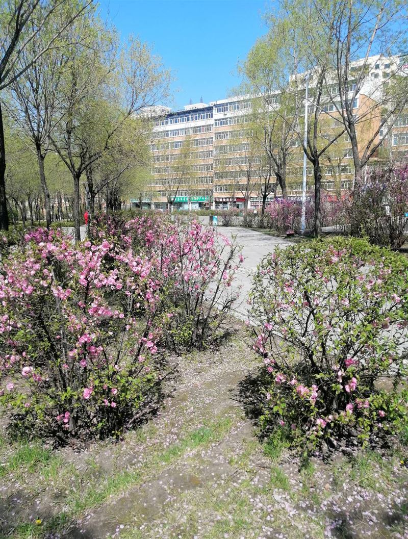 房屋出租