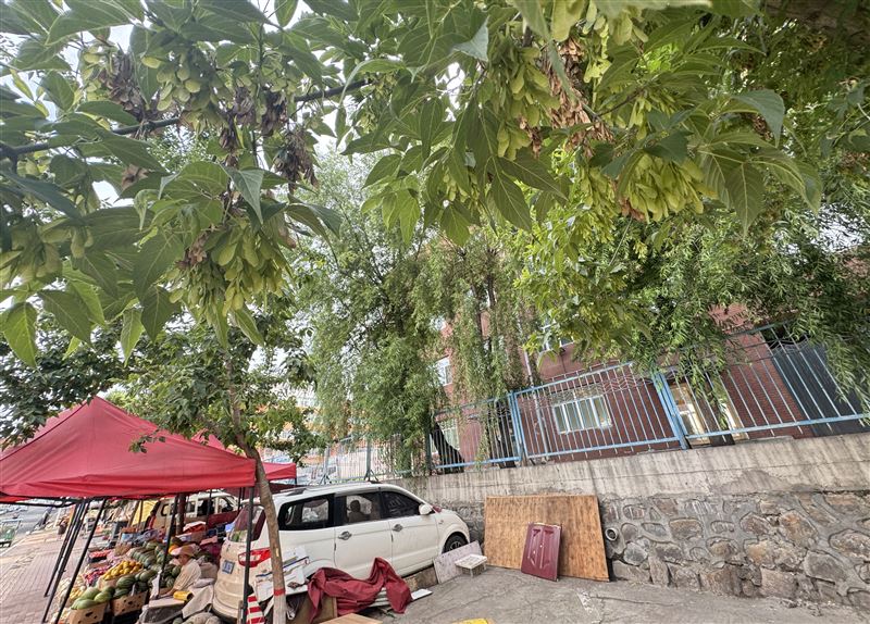 同仁小区33号楼六小学区房
