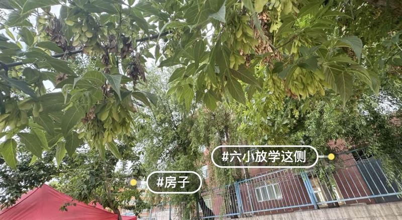 同仁小区33号楼六小学区房