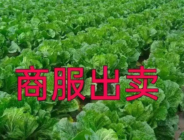 商服出卖